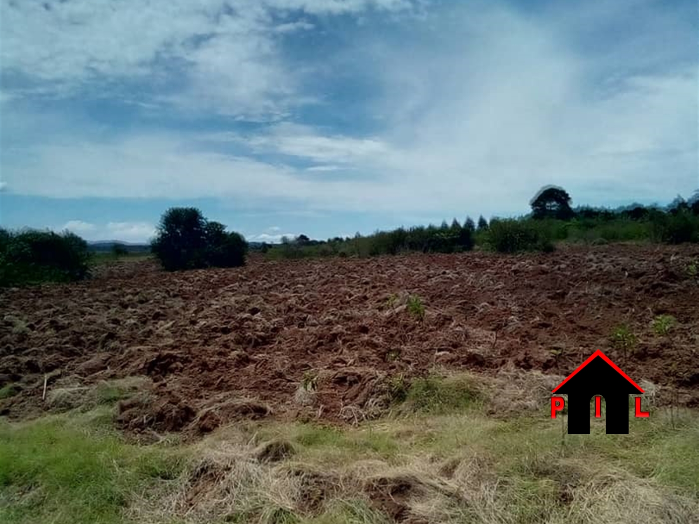 Agricultural Land for sale in Luwabe Luweero