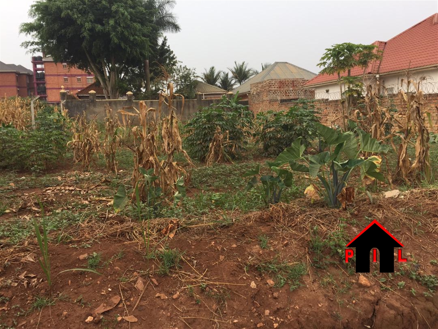 Residential Land for sale in Nsasa Wakiso