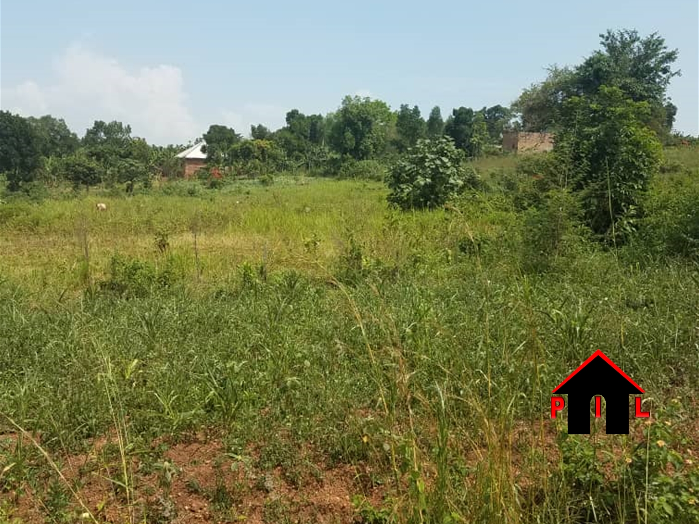 Agricultural Land for sale in Busula Luweero