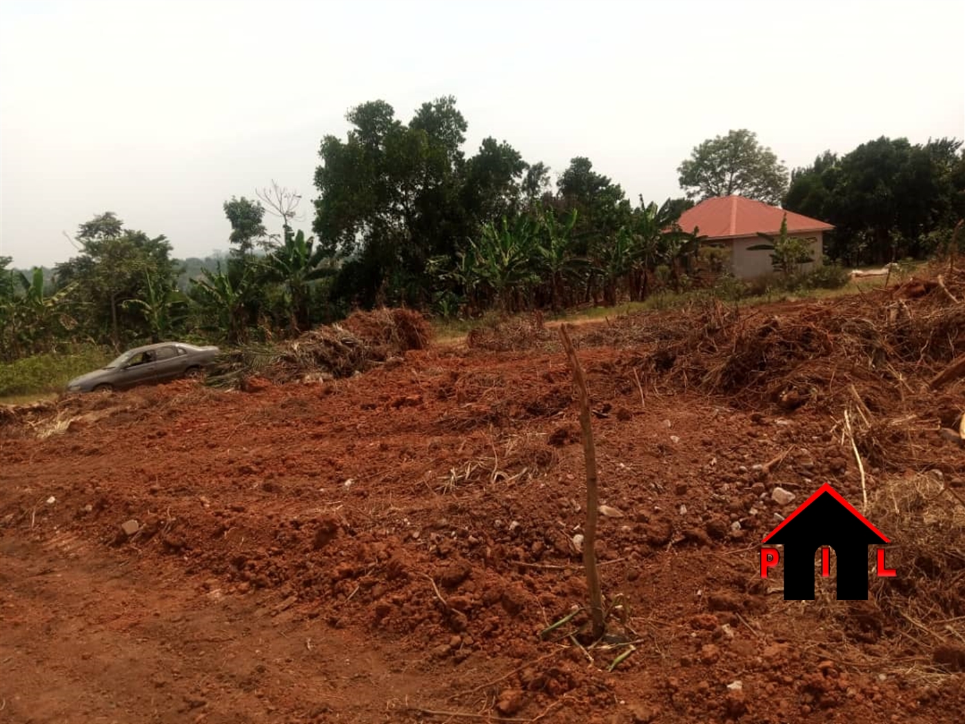 Agricultural Land for sale in Busula Luweero