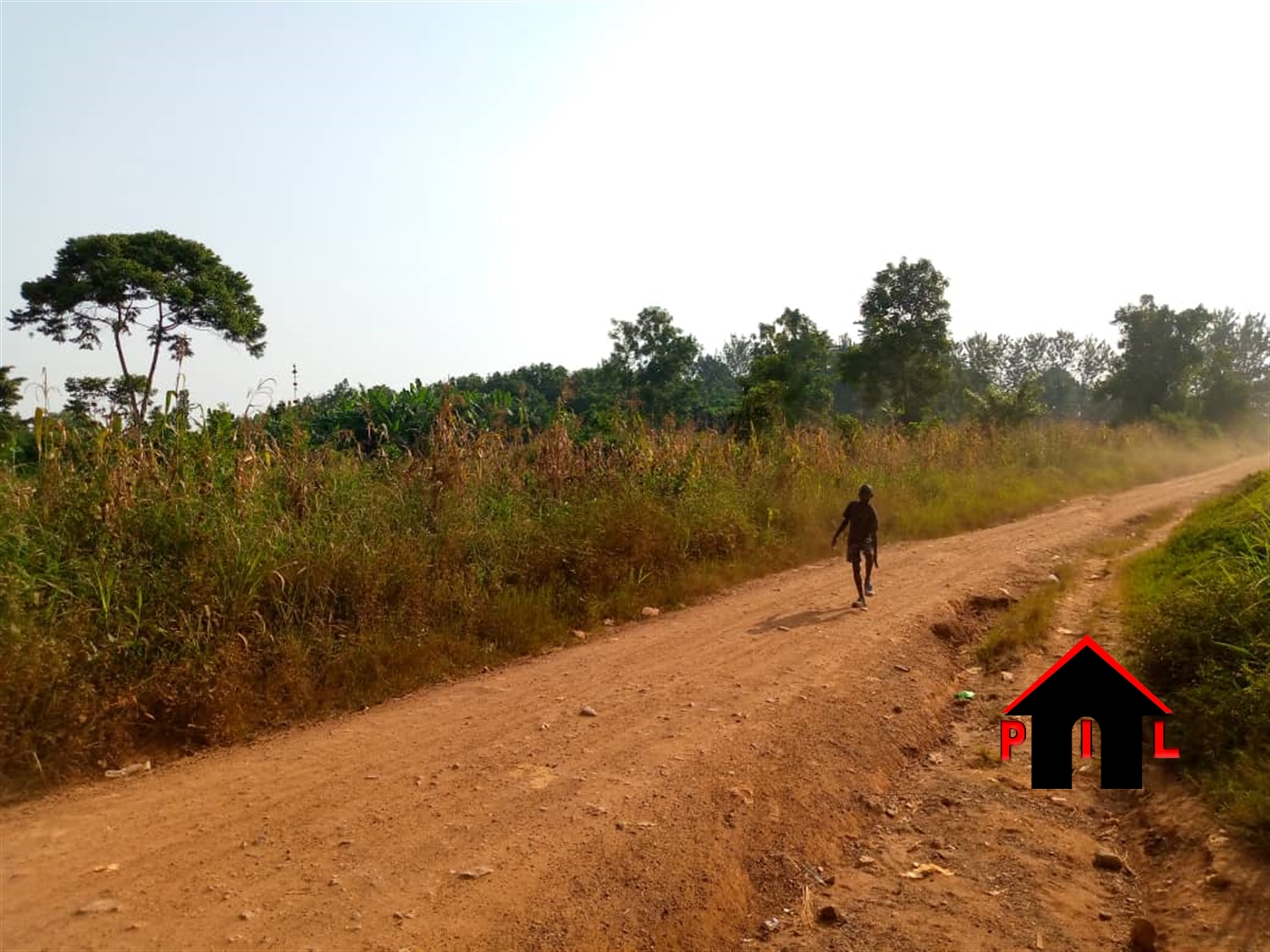 Residential Land for sale in Kisowela Mukono