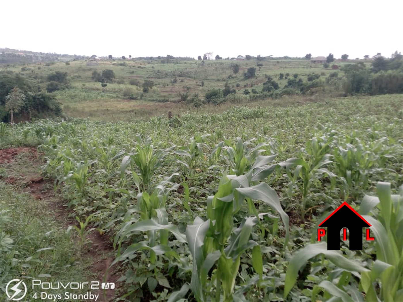 Agricultural Land for sale in Kyankwanzi Luweero