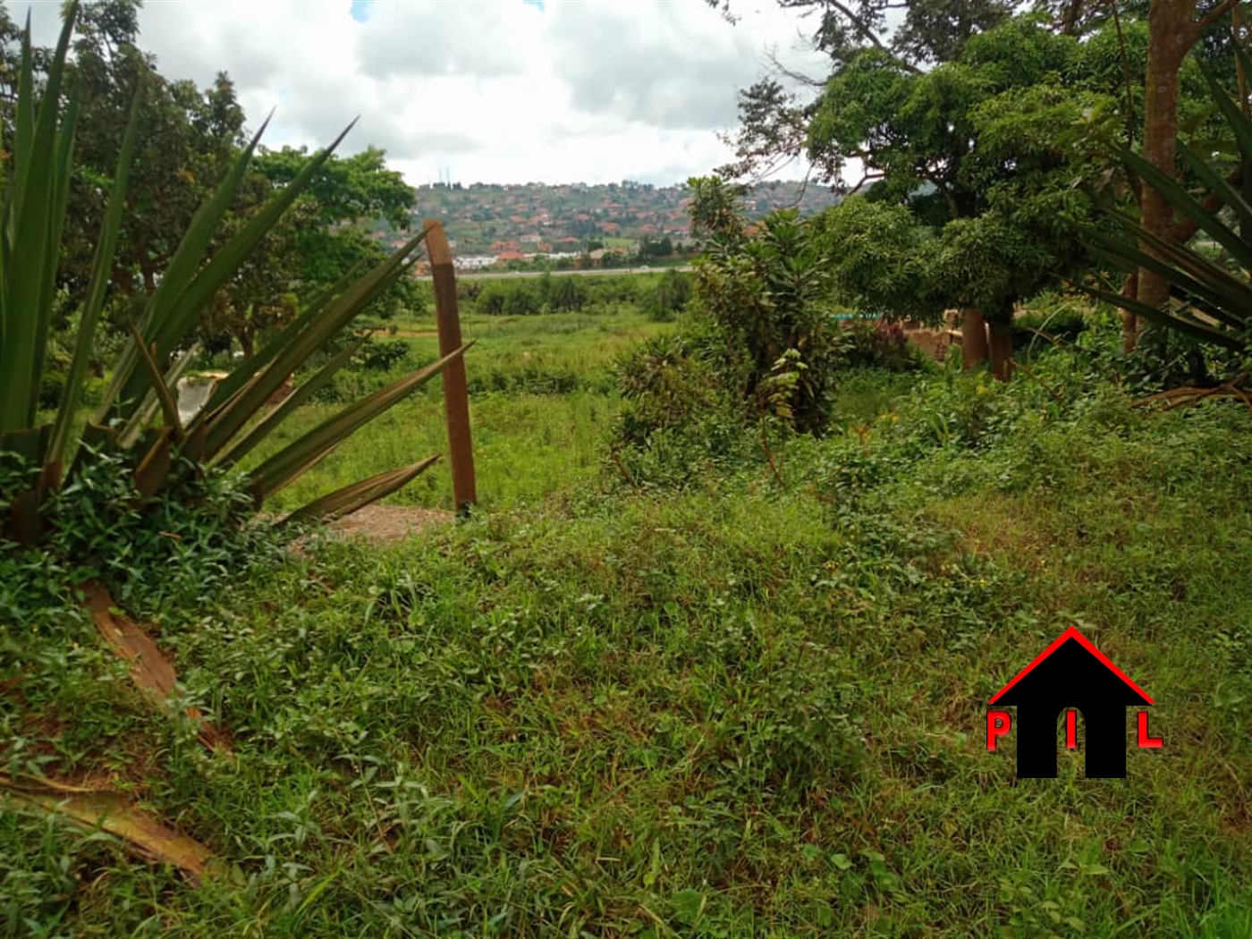 Agricultural Land for sale in Dowe Wakiso