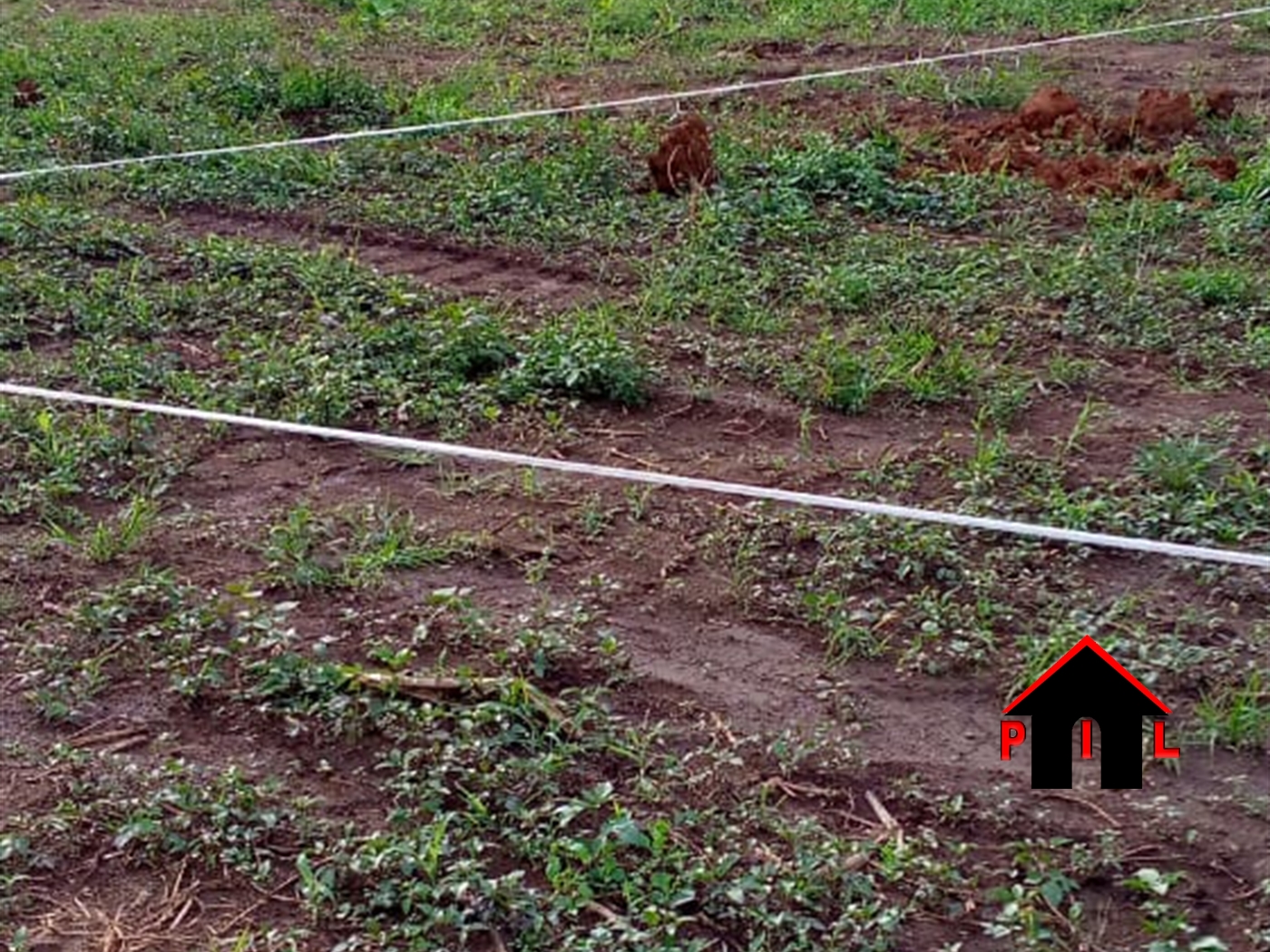 Agricultural Land for sale in Namulanda Wakiso