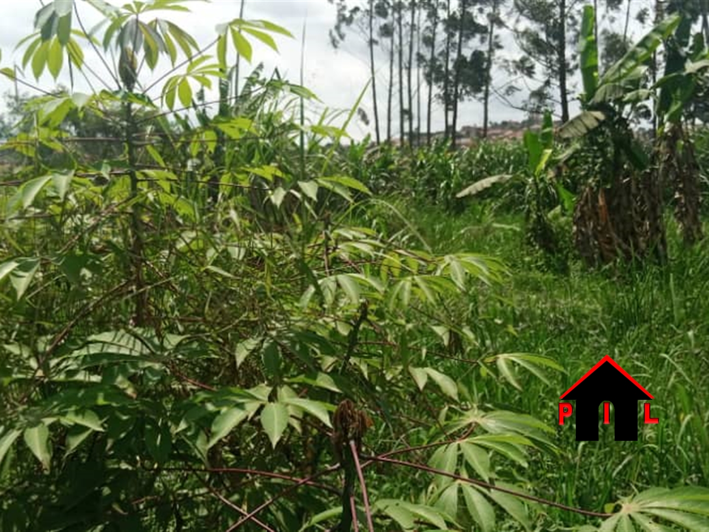 Residential Land for sale in Munyonyo Wakiso