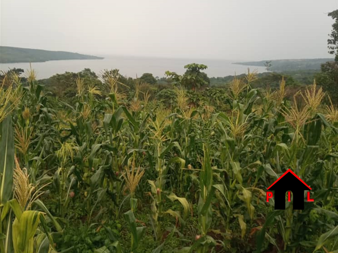 Agricultural Land for sale in Koome Wakiso