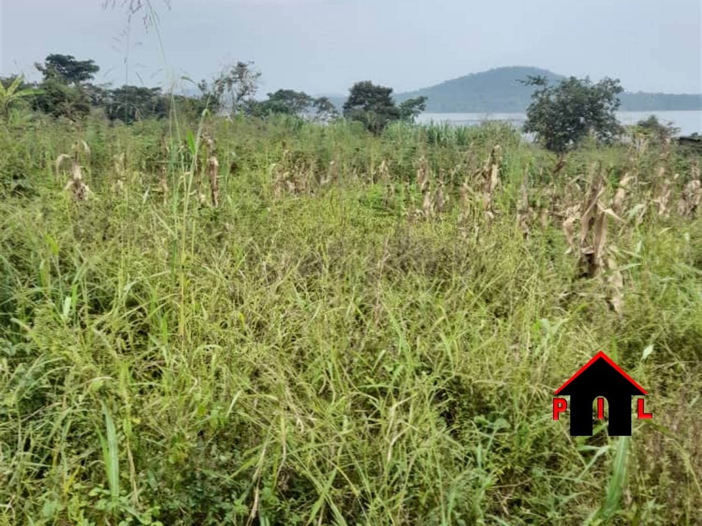 Agricultural Land for sale in Mpatta Mukono