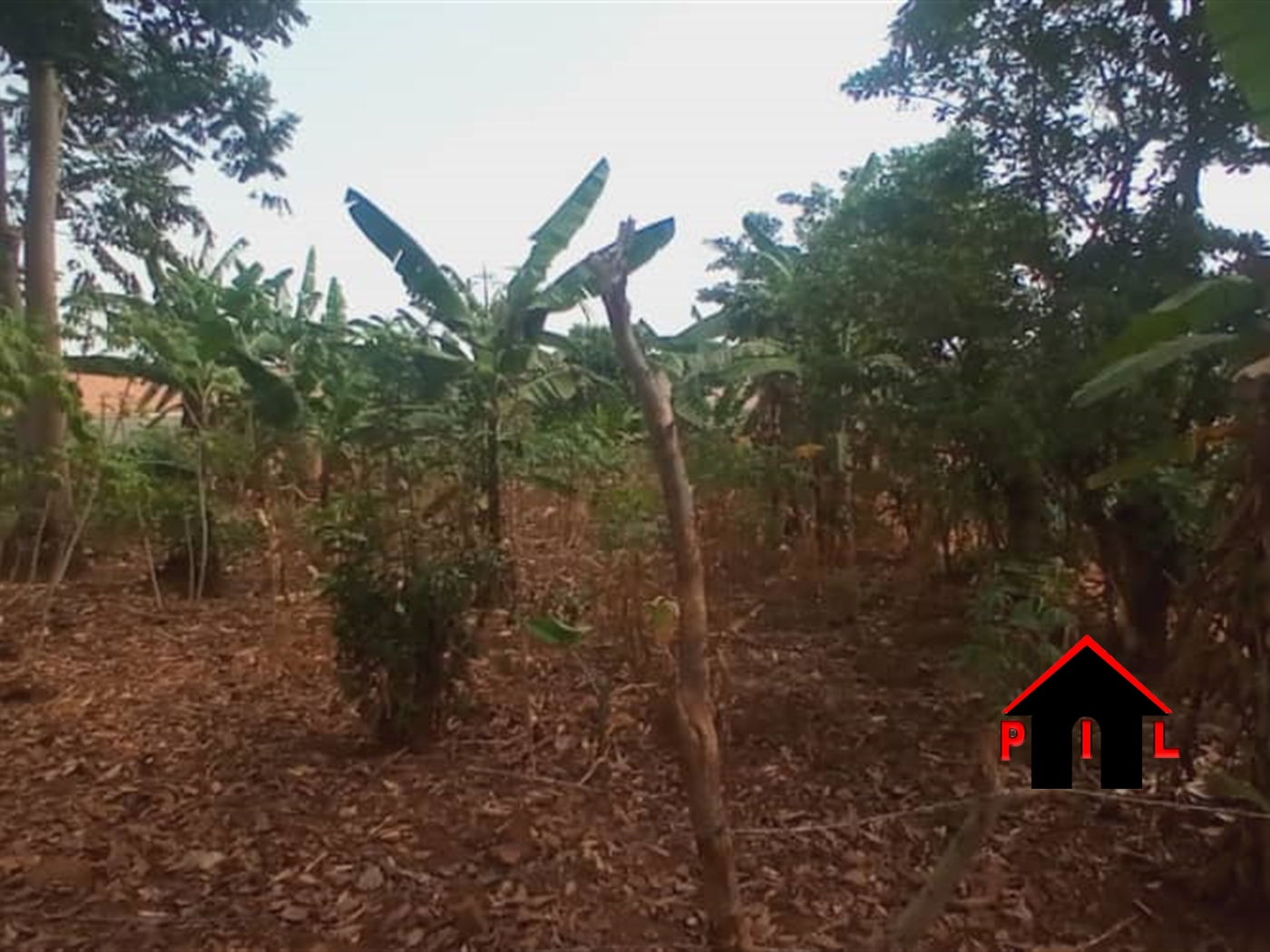 Residential Land for sale in Namulanda Wakiso