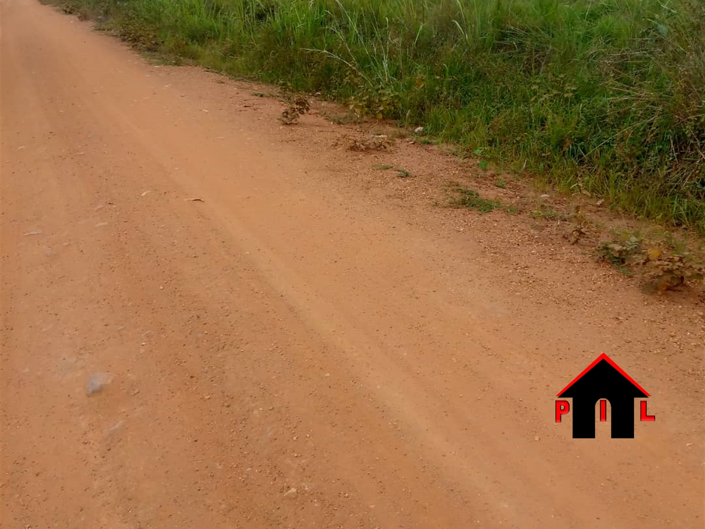 Agricultural Land for sale in Nalongo Luweero