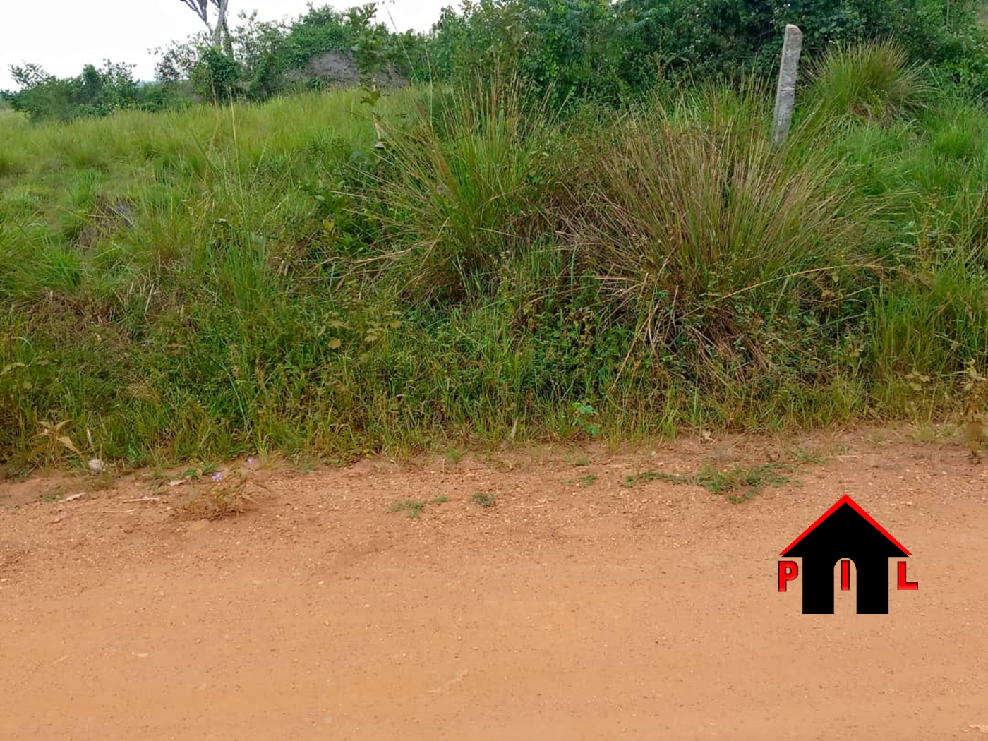 Agricultural Land for sale in Nalongo Luweero