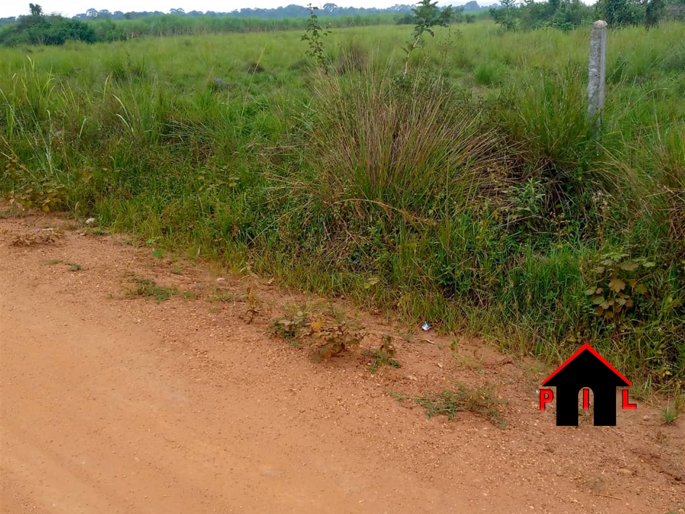 Agricultural Land for sale in Nalongo Luweero