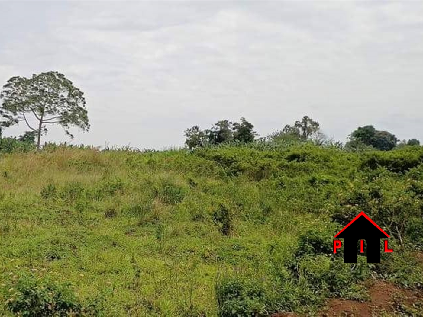 Agricultural Land for sale in Mpatta Mukono