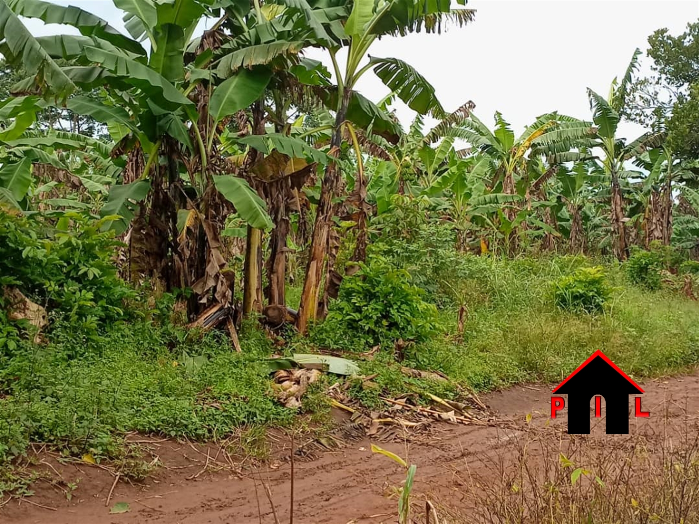 Agricultural Land for sale in Kabila Rakai