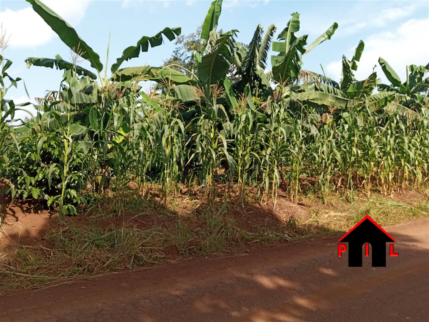 Agricultural Land for sale in Kamengo Mpigi