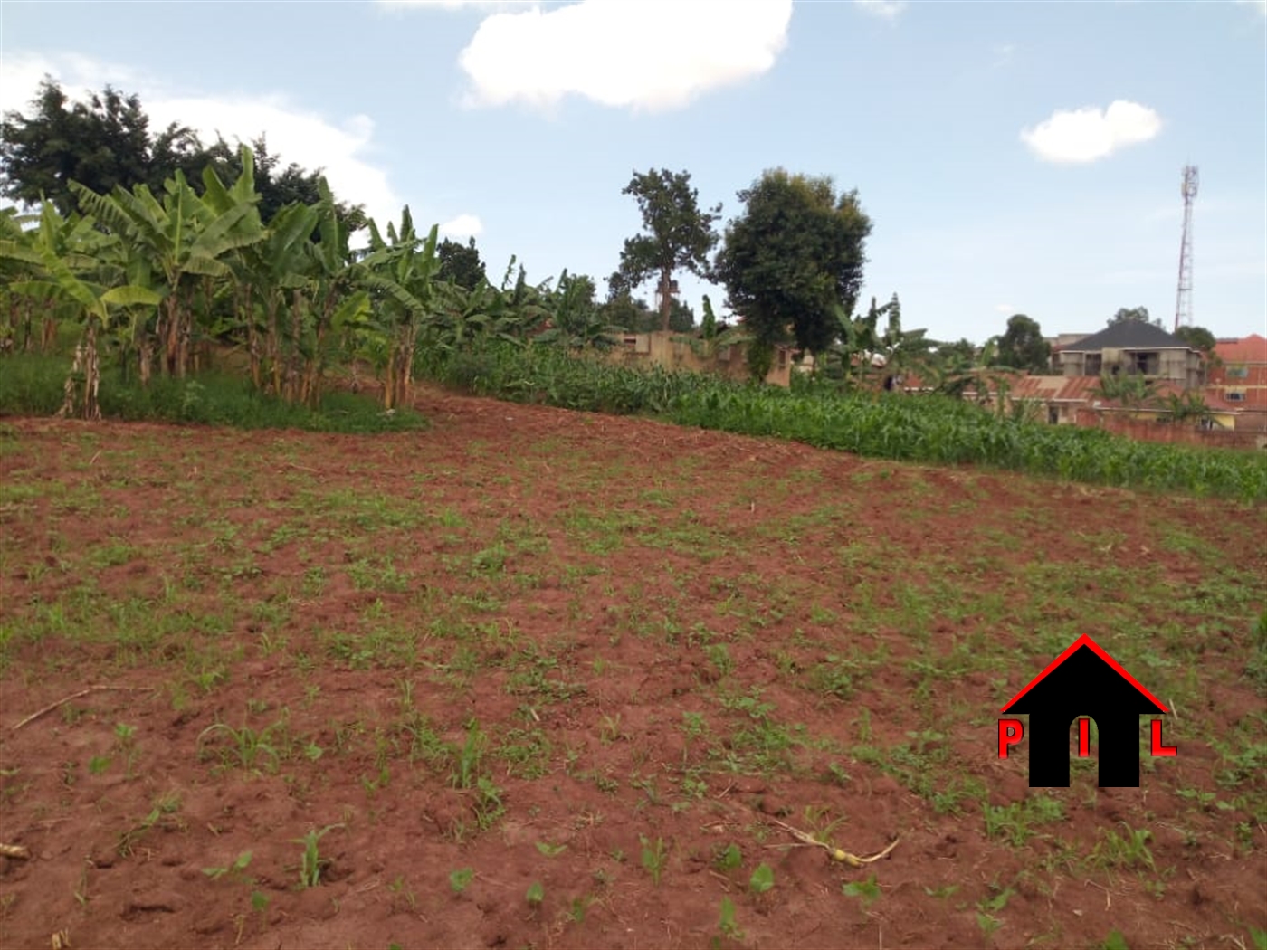 Residential Land for sale in Kiwawu Mityana