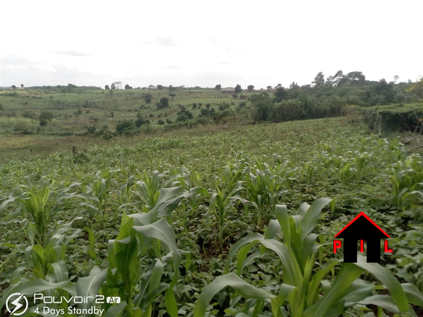 Agricultural Land for sale in Katovu Masaka