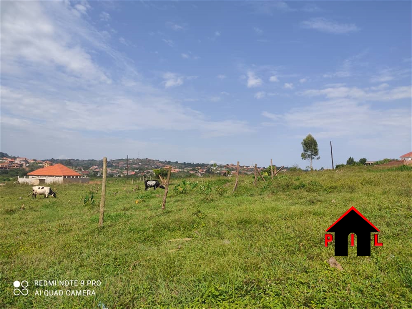 Agricultural Land for sale in Mikito Mityana