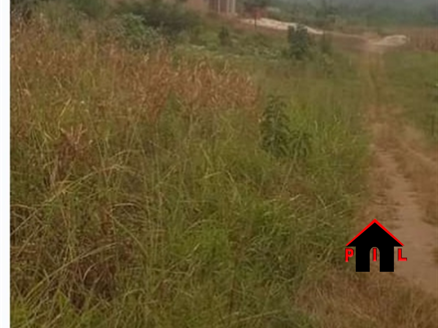 Agricultural Land for sale in Kitubulu Wakiso