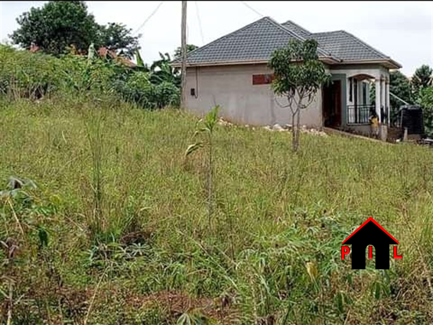 Agricultural Land for sale in Kitubulu Wakiso