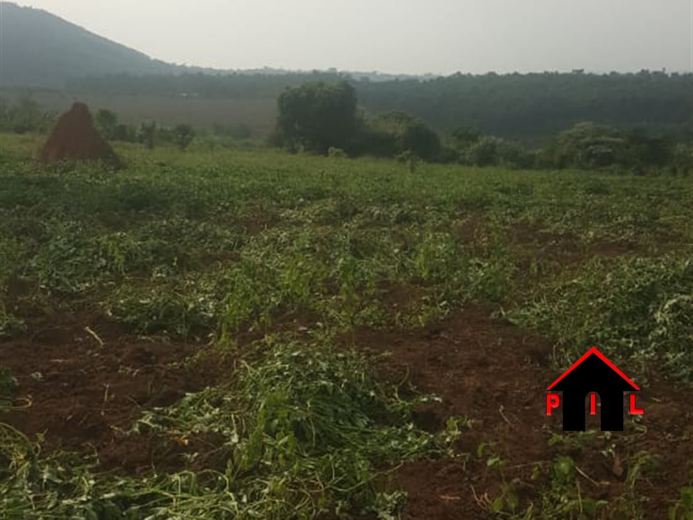 Agricultural Land for sale in Mutungo Wakiso