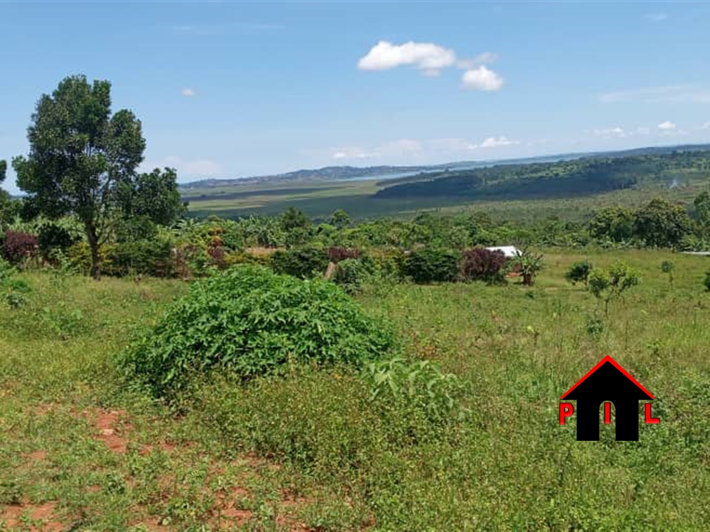 Agricultural Land for sale in Sazzi Wakiso
