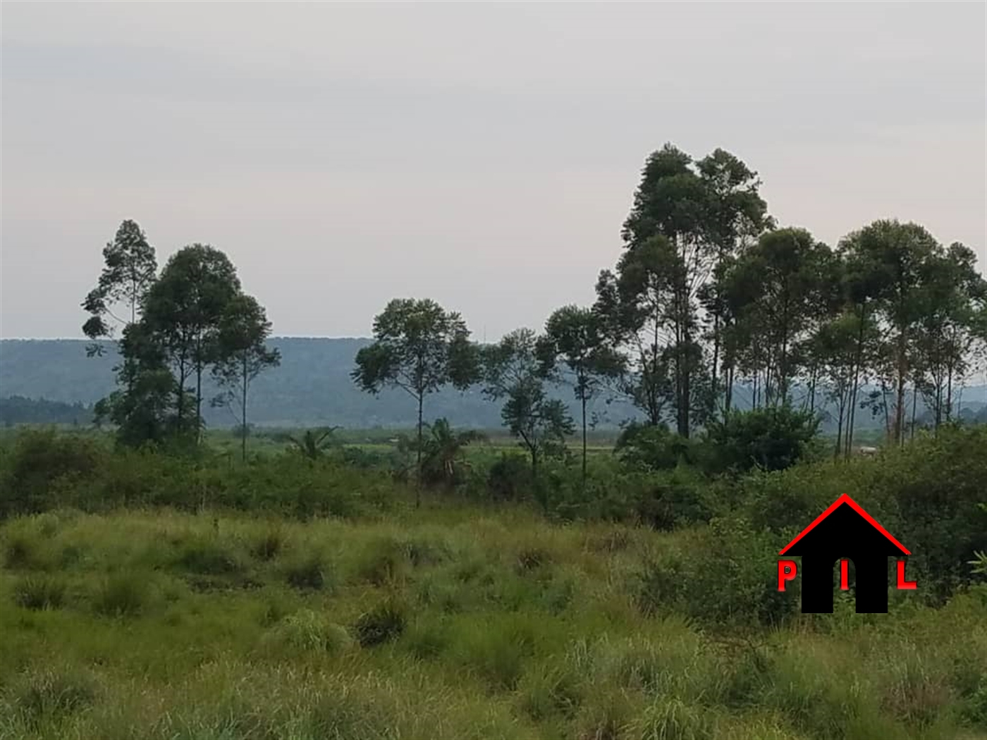 Agricultural Land for sale in Nyenje Mukono