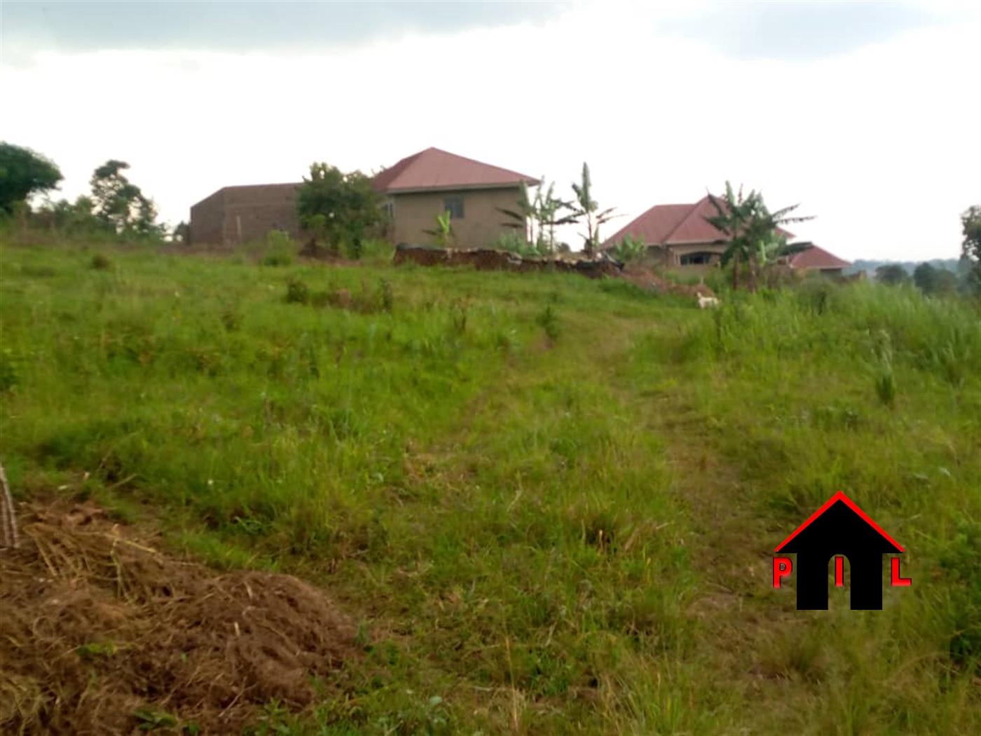 Agricultural Land for sale in Kikonge Wakiso