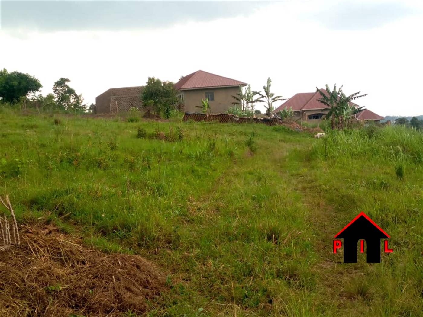 Agricultural Land for sale in Kikonge Wakiso