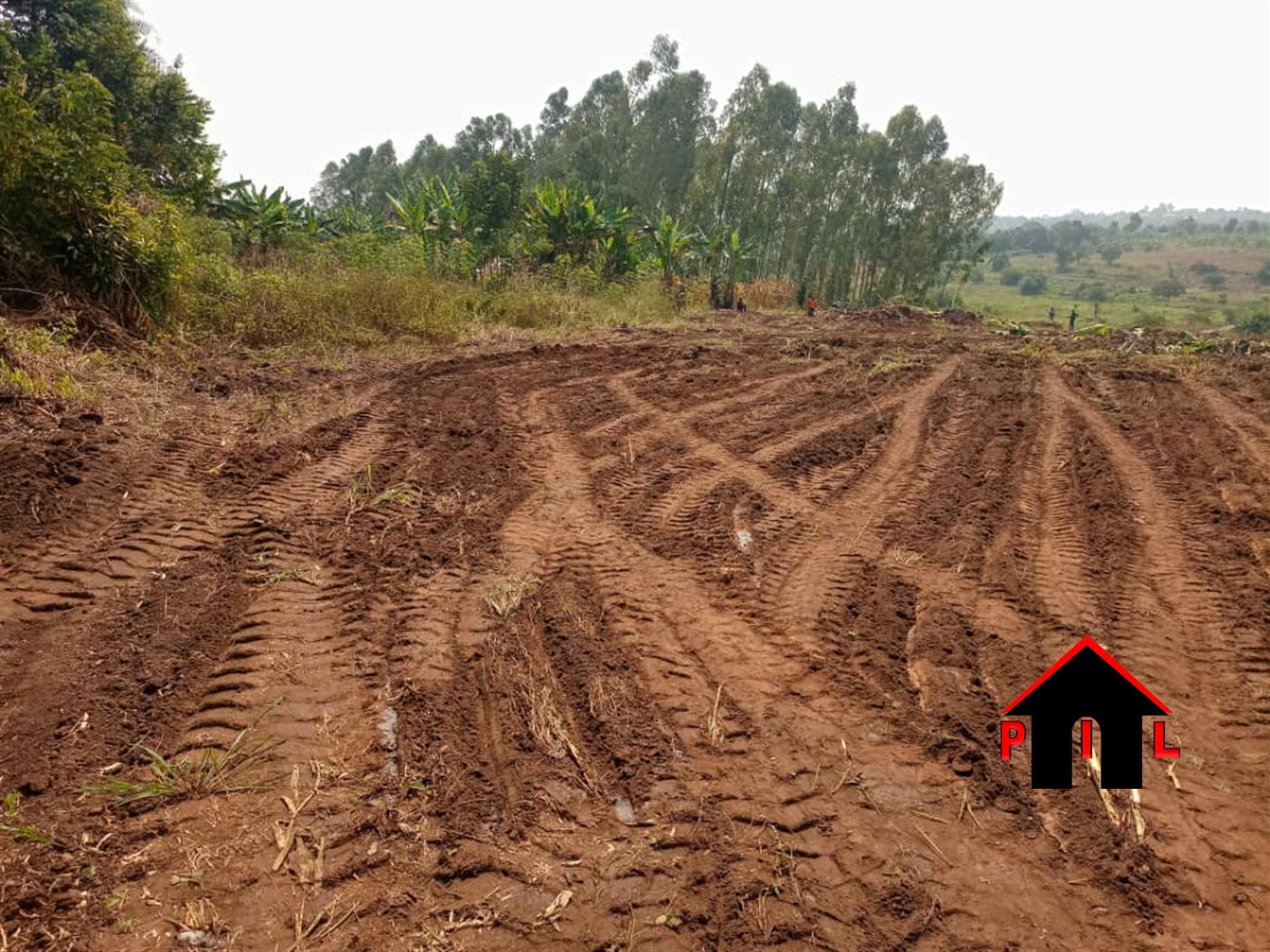 Agricultural Land for sale in Kikonge Wakiso