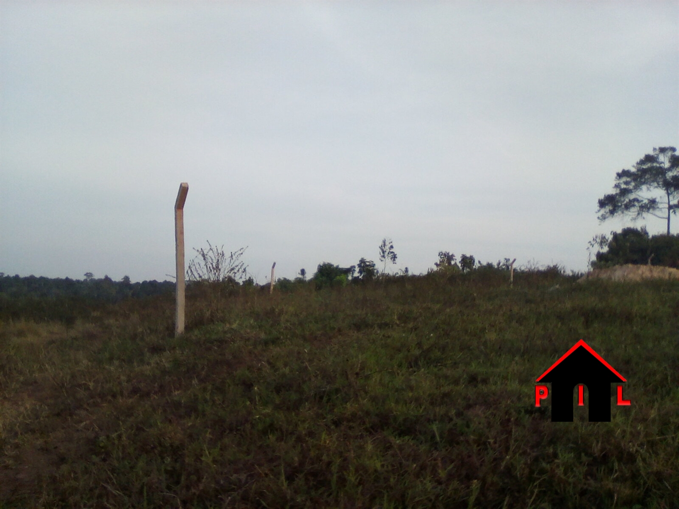 Agricultural Land for sale in Ngogwe Buyikwe