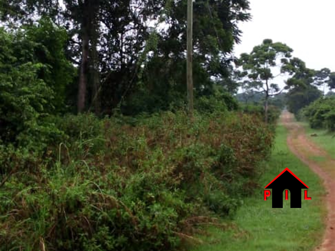Agricultural Land for sale in Kiwawu Mityana