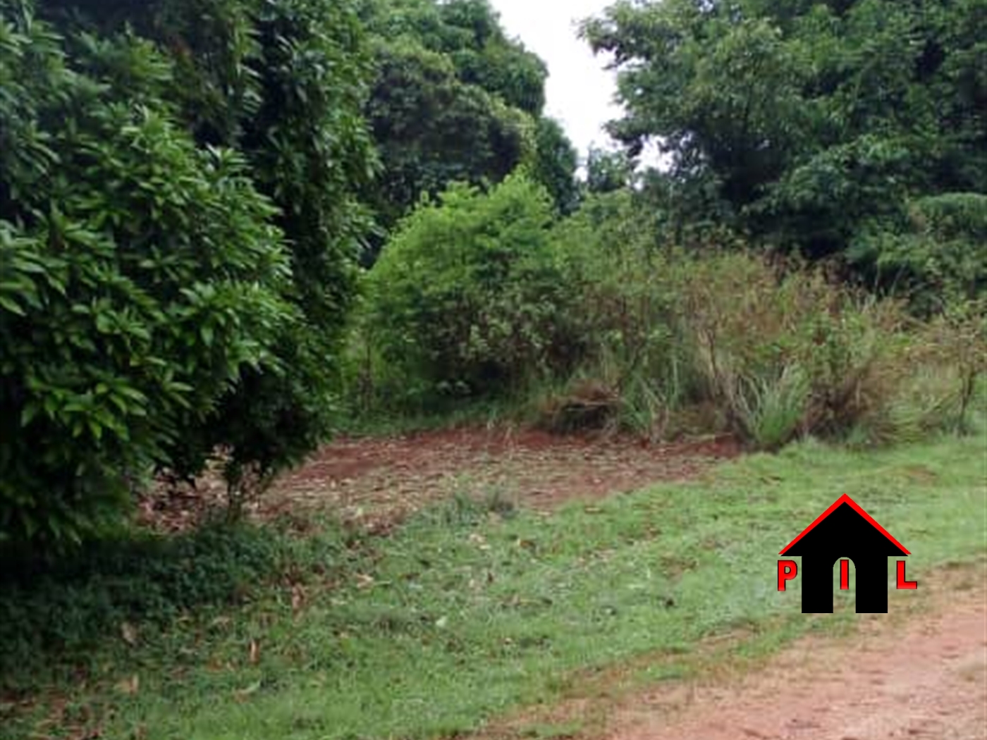 Agricultural Land for sale in Kiwawu Mityana