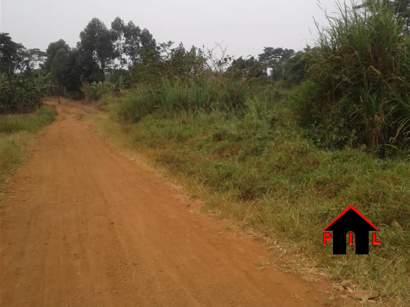 Agricultural Land for sale in Kito Nakaseke