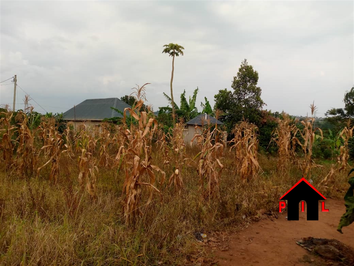 Residential Land for sale in Kira Wakiso