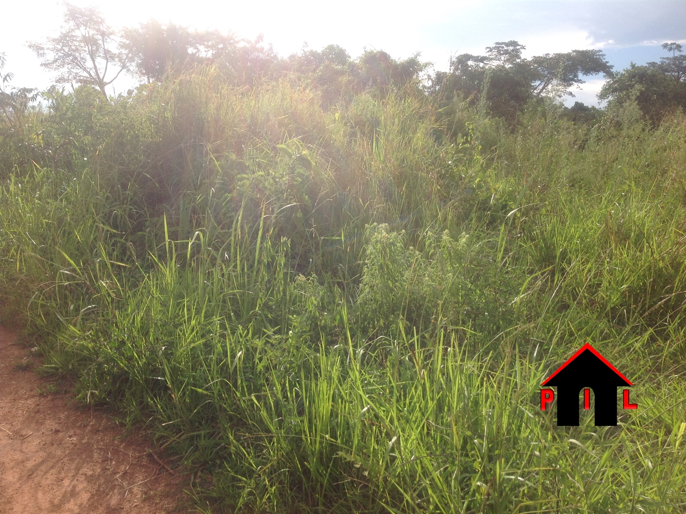 Agricultural Land for sale in Bwindi Kisoro