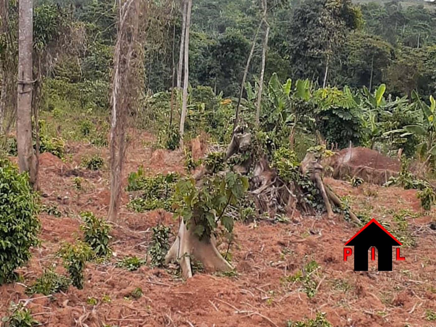 Agricultural Land for sale in Bussi Wakiso
