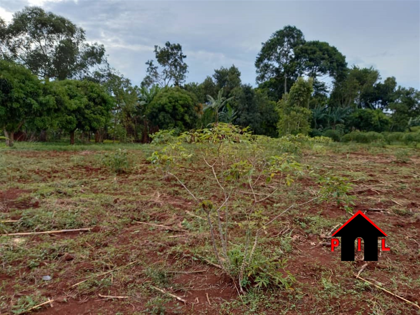 Agricultural Land for sale in Buwenda Jinja