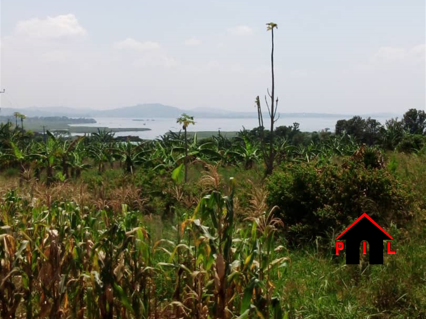 Residential Land for sale in Mpererwe Wakiso