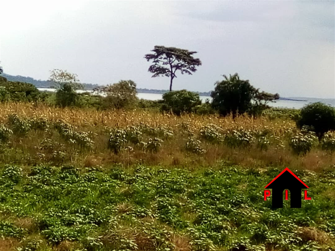 Agricultural Land for sale in Masujju Mukono