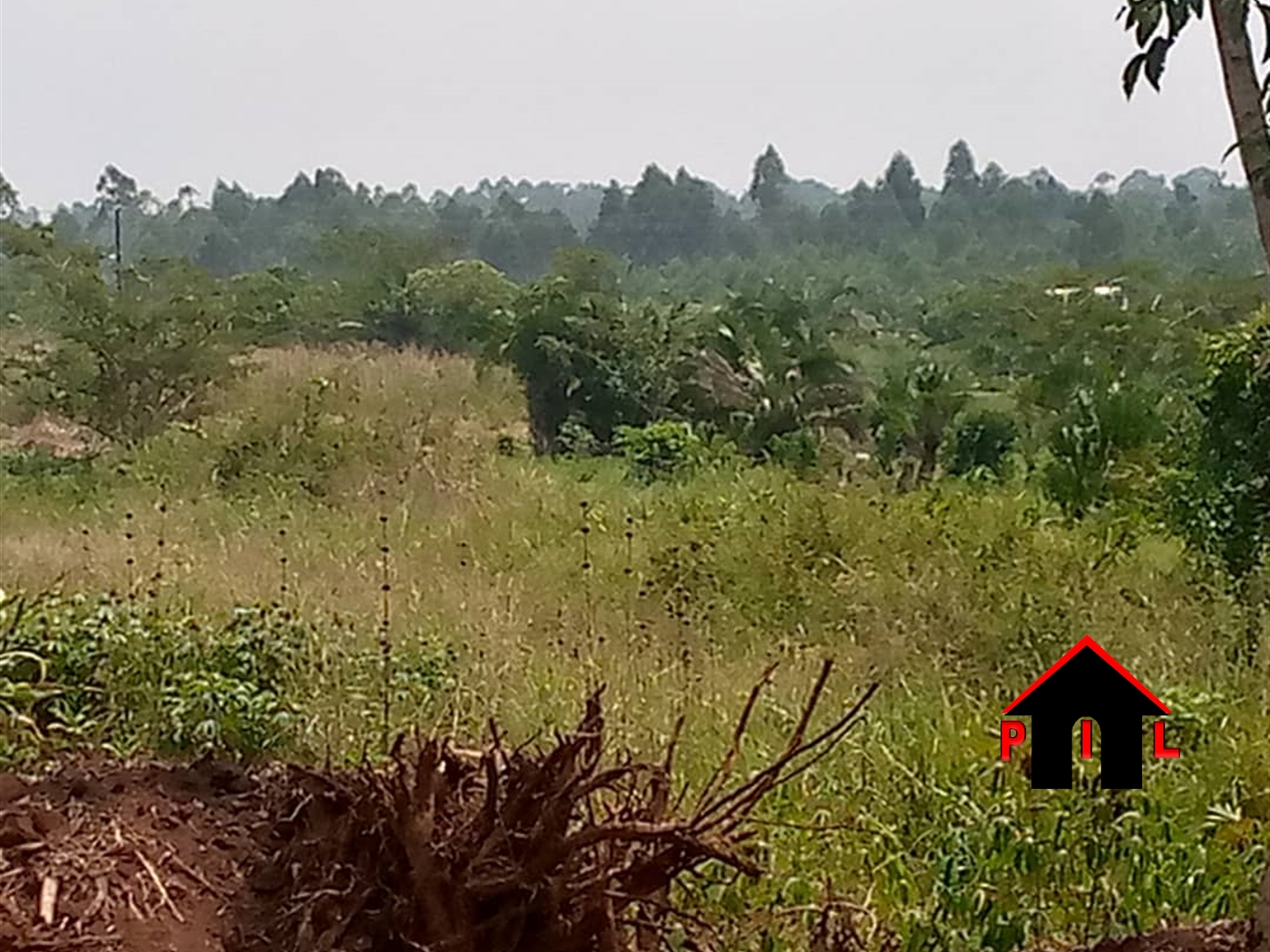 Agricultural Land for sale in Bombo Luweero