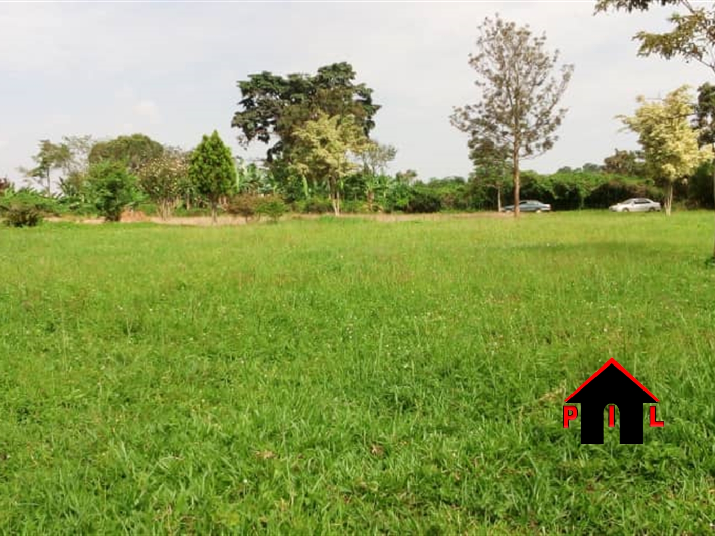 Agricultural Land for sale in Buwaya Mayuge