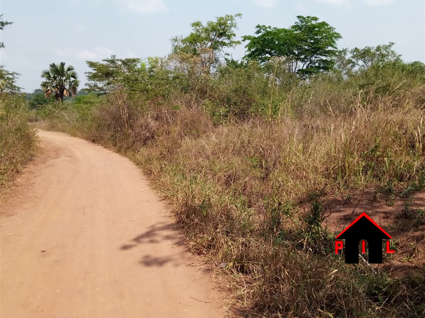 Agricultural Land for sale in Katuugo Luweero