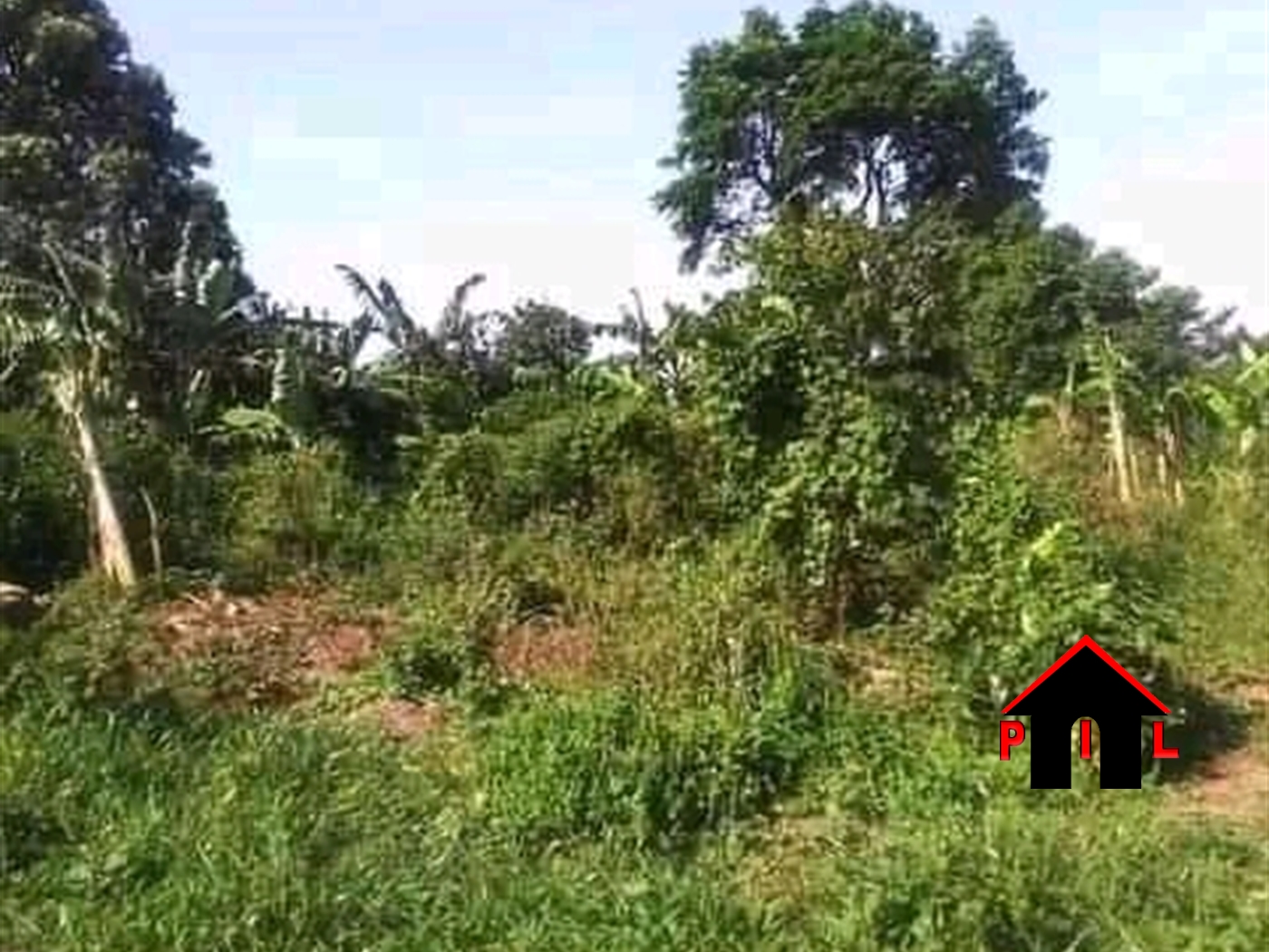 Agricultural Land for sale in Ssesse Kalangala