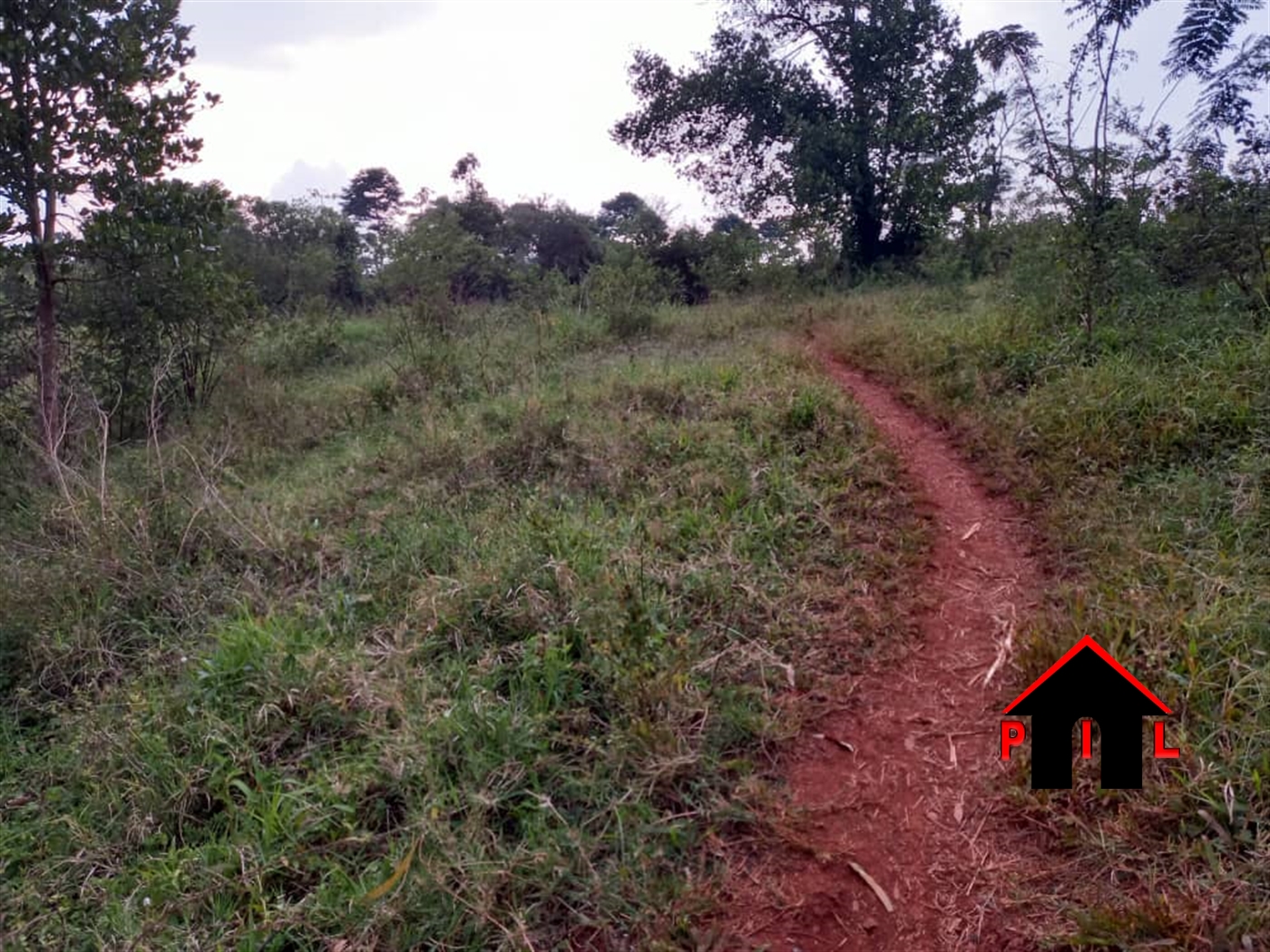 Agricultural Land for sale in Kyabirwa Jinja