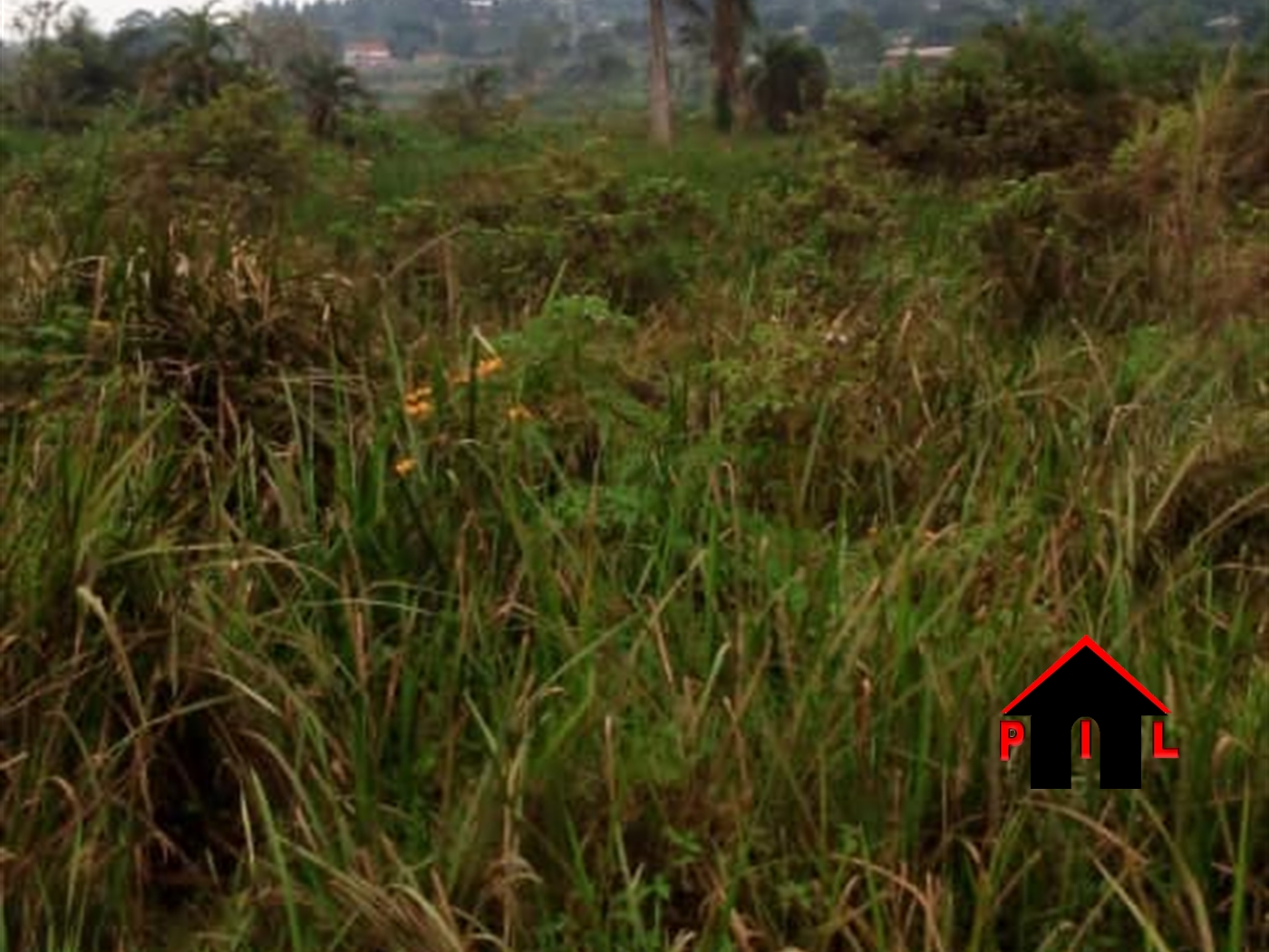 Agricultural Land for sale in Ssekiwunga Wakiso