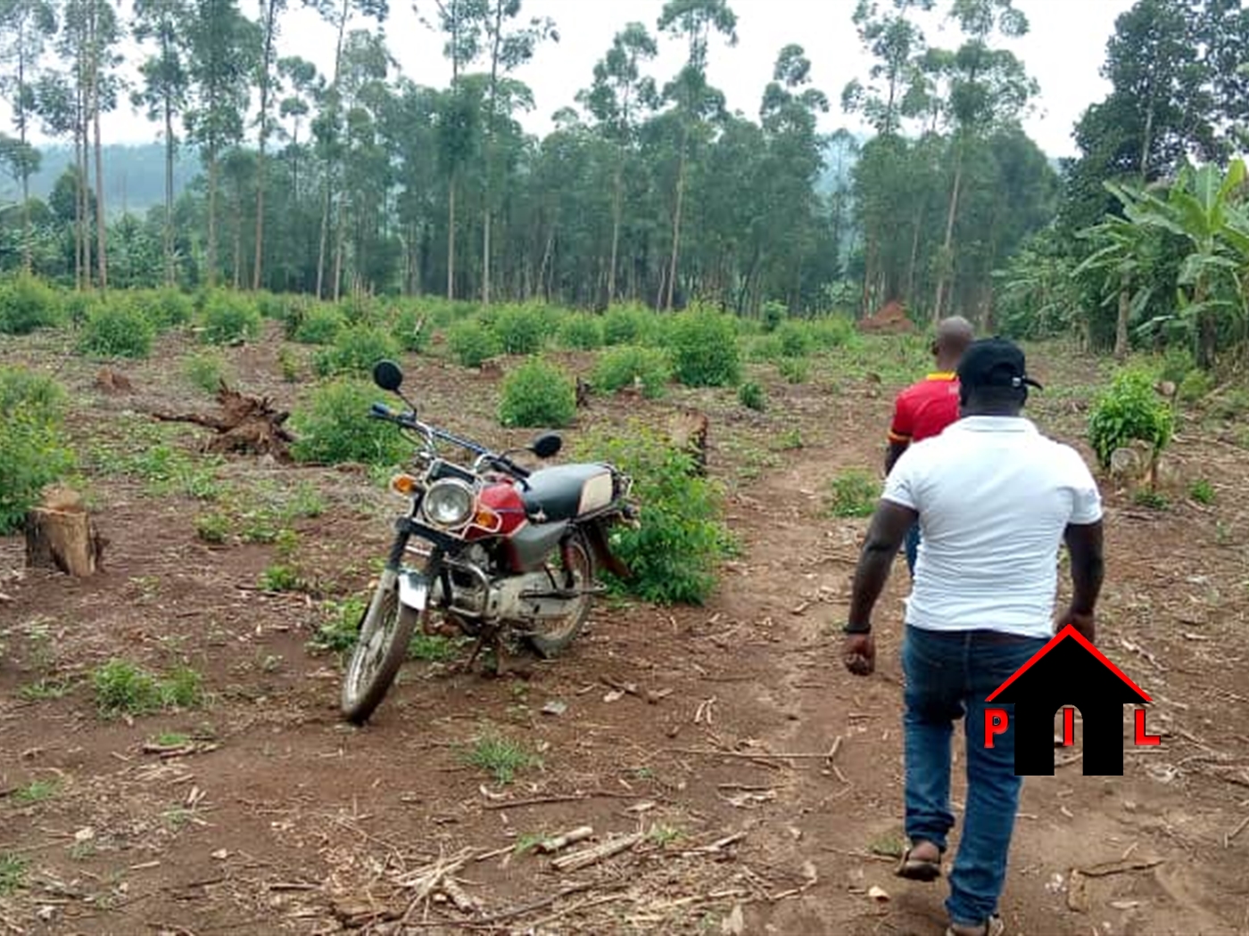 Agricultural Land for sale in Kalagala Luweero