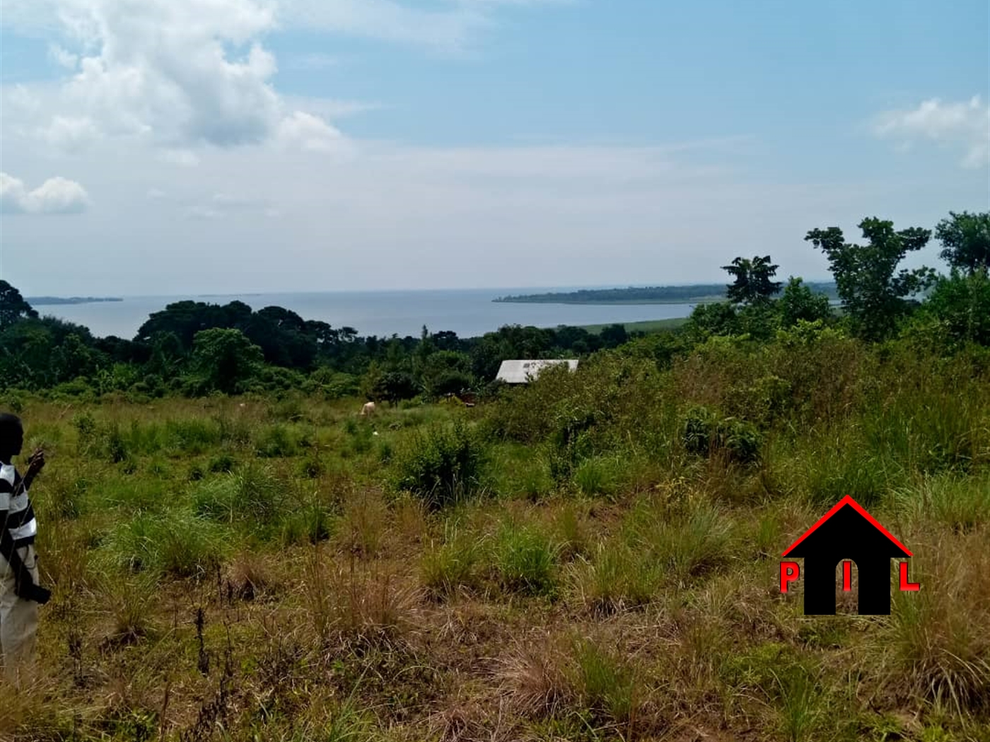 Agricultural Land for sale in Mpenja Mukono
