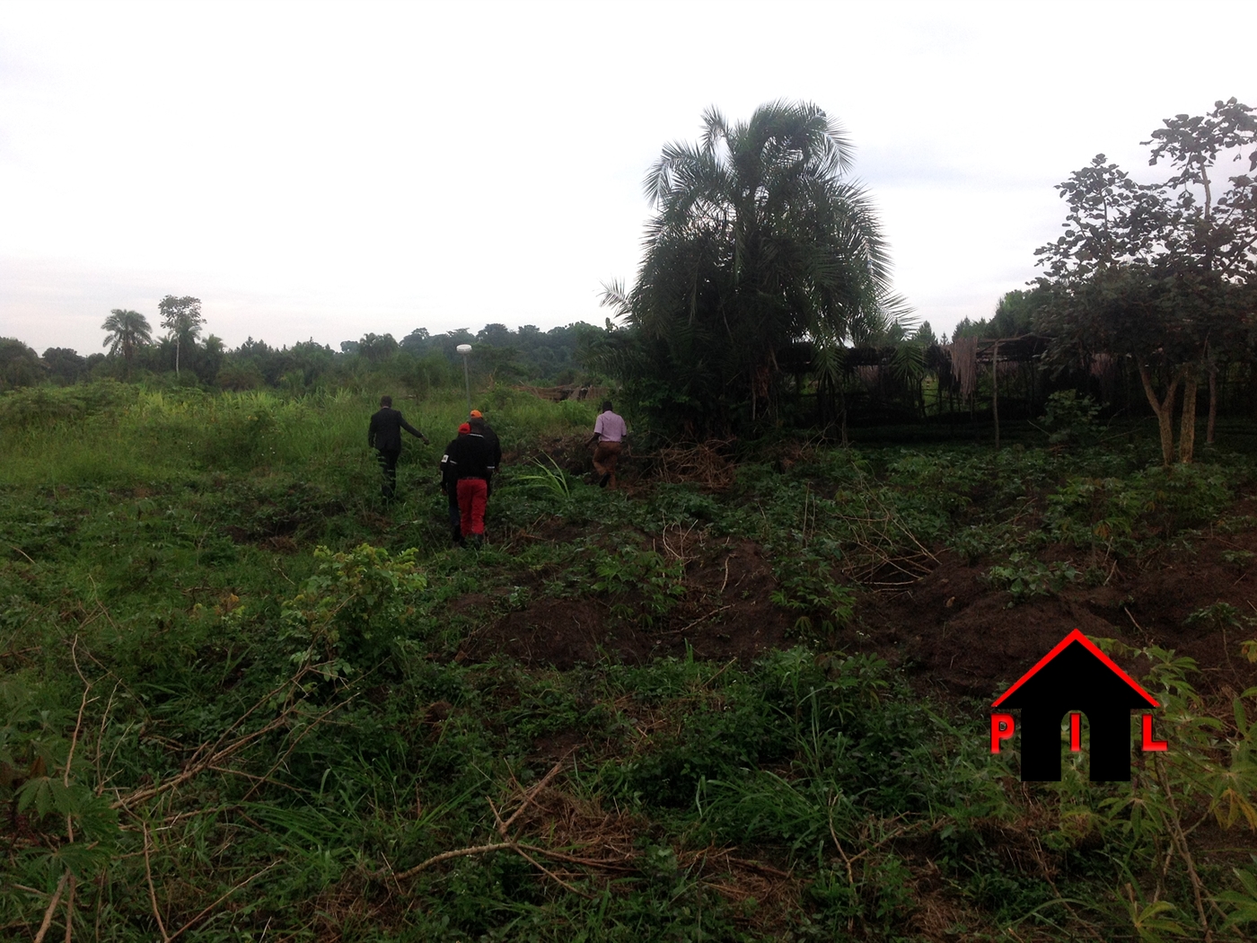 Agricultural Land for sale in Kiwoko Nakaseke