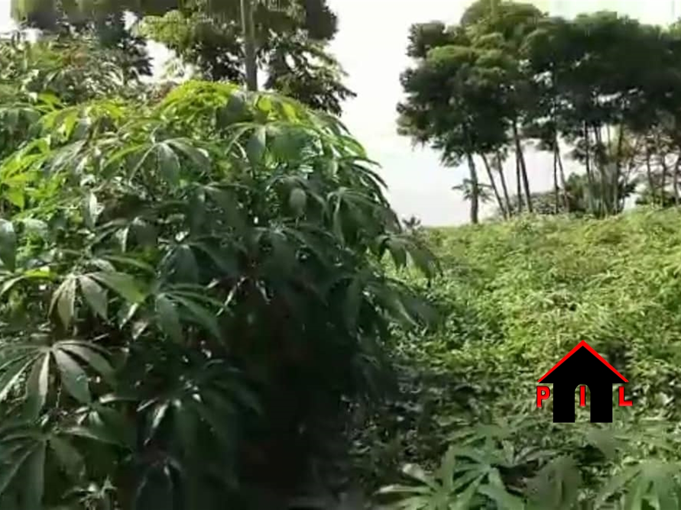 Agricultural Land for sale in Kanoni Gomba