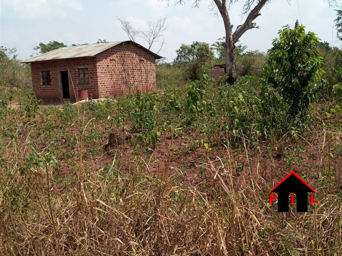 Agricultural Land for sale in Katuugo Luweero